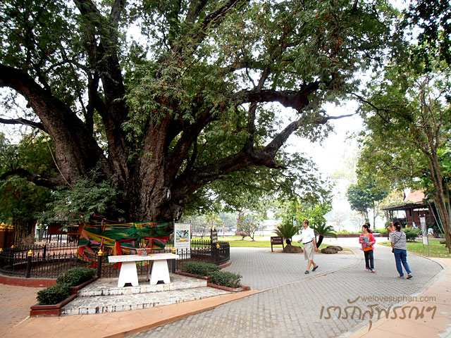 วัดแค อำเภอเมือง สุพรรณบุรี