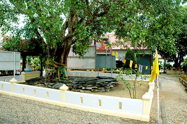 DSC 4868